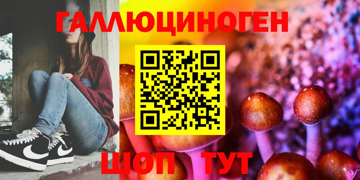 Псилоцибиновые грибы Cubensis Лосино-Петровский
