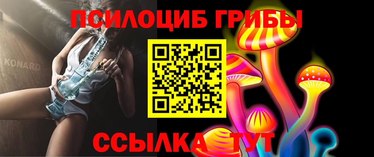 Лосино-Петровский  Псилоцибиновые грибы MAGIC MUSHROOMS  где можно купить   Вход с VPN 
